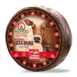 Asiago DOP vacca bruna