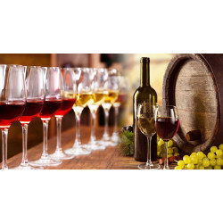 Selezione Vini